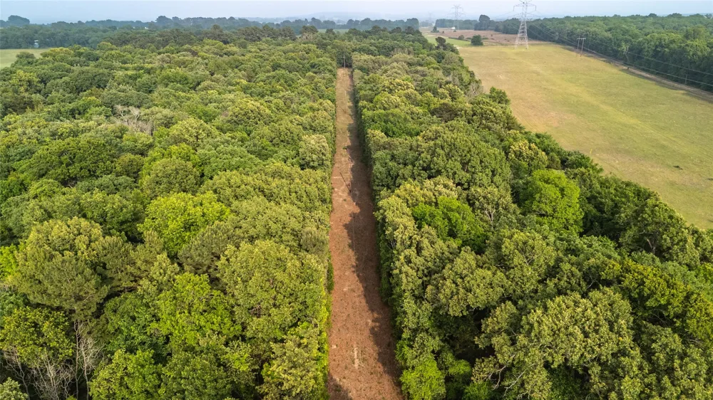 County Road 4520 Larue, TX 75770
