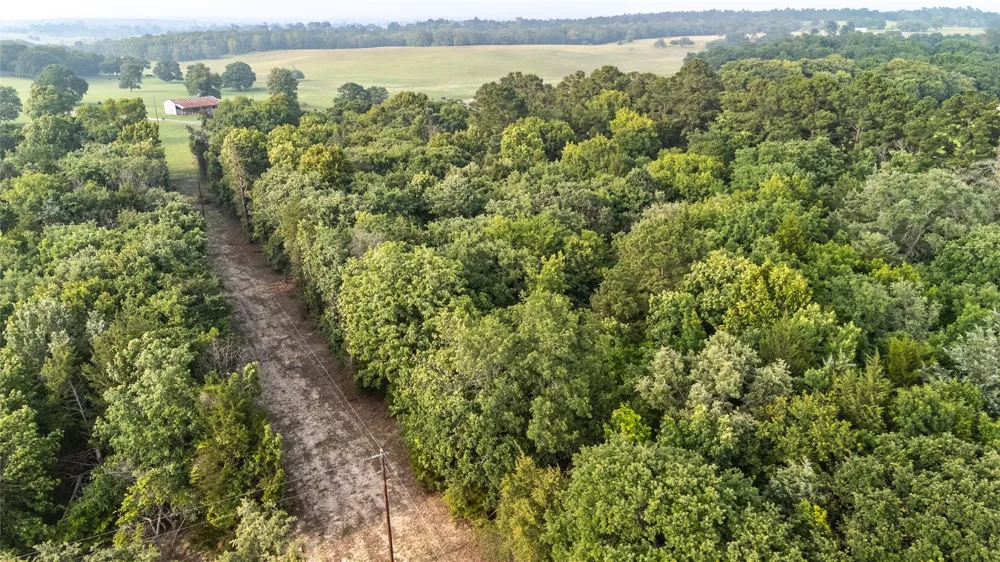 County Road 4520 Larue, TX 75770