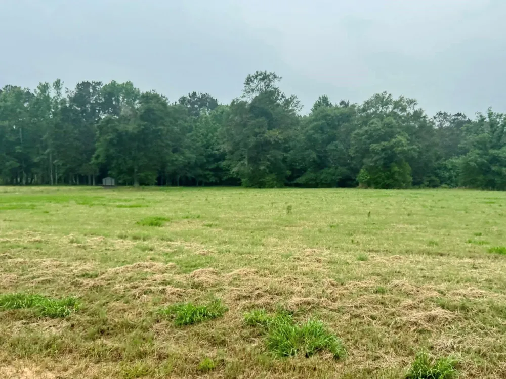 131 S Green Valley Trail Hillister, TX 77624