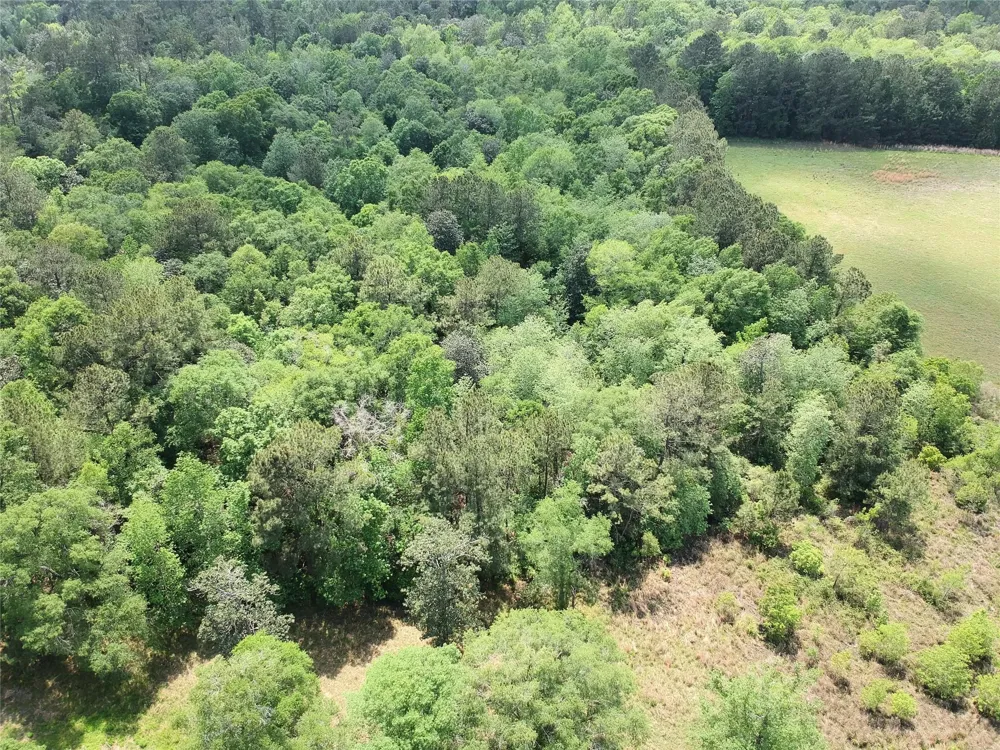 131 S Green Valley Trail Hillister, TX 77624
