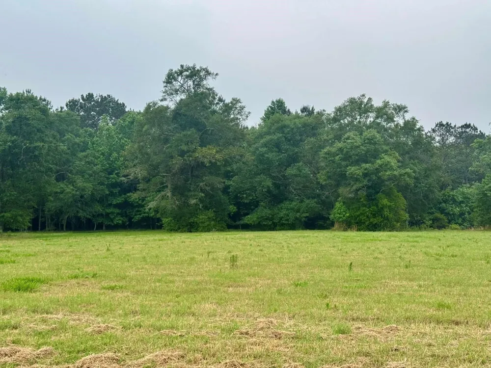 131 S Green Valley Trail Hillister, TX 77624