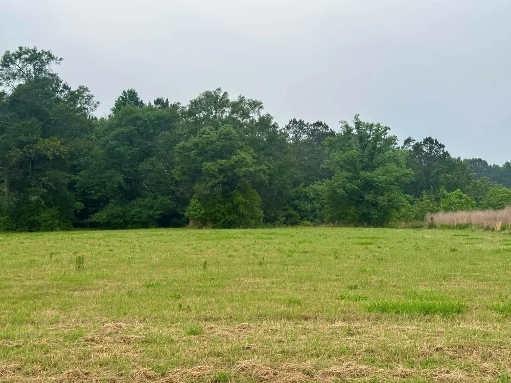131 S Green Valley Trail Hillister, TX 77624