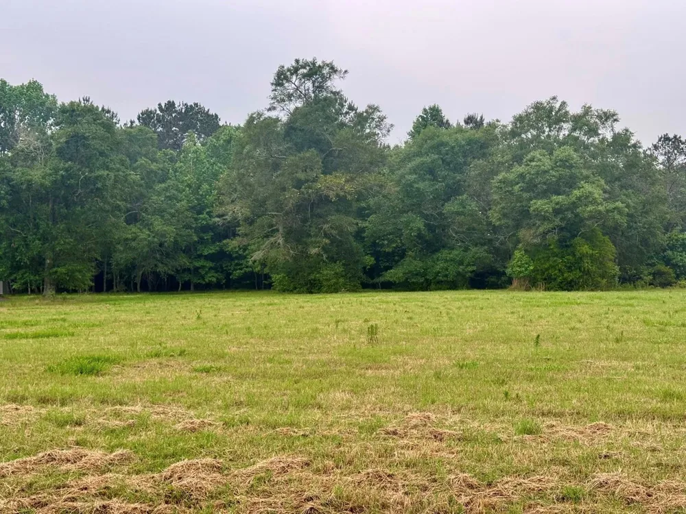 131 S Green Valley Trail Hillister, TX 77624