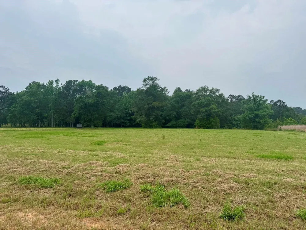 131 S Green Valley Trail Hillister, TX 77624