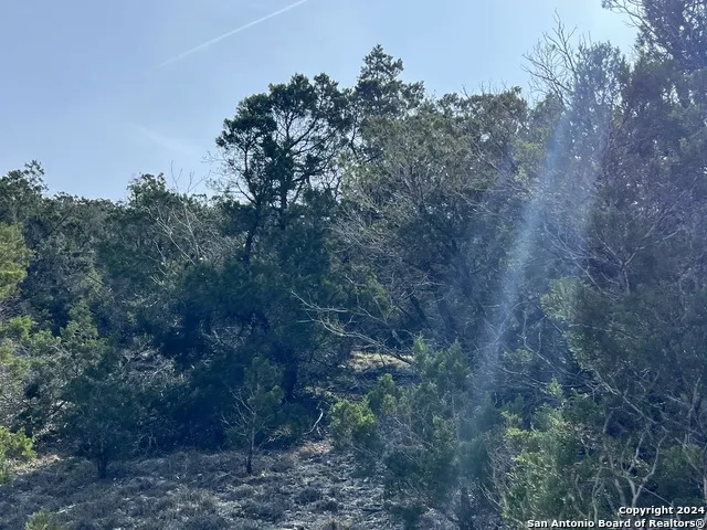 1081 Hillside View Dr New Braunfels, TX 78132