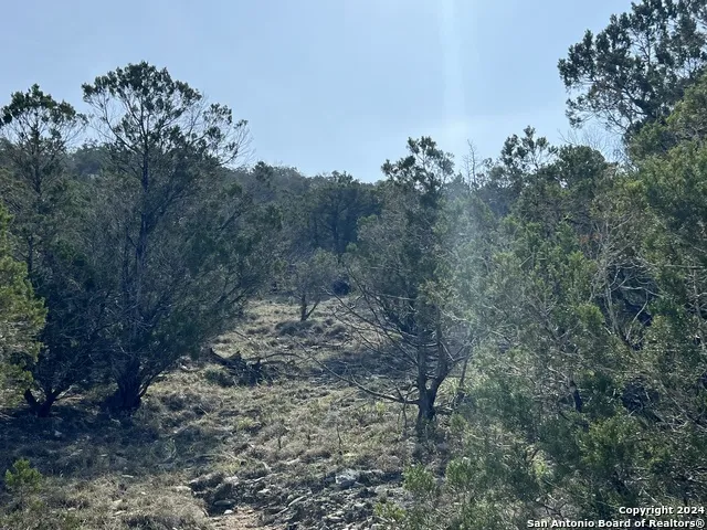 1081 Hillside View Dr New Braunfels, TX 78132