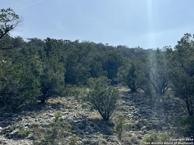 1081 Hillside View Dr New Braunfels, TX 78132