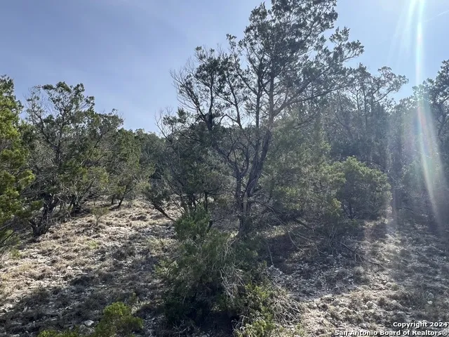 1081 Hillside View Dr New Braunfels, TX 78132