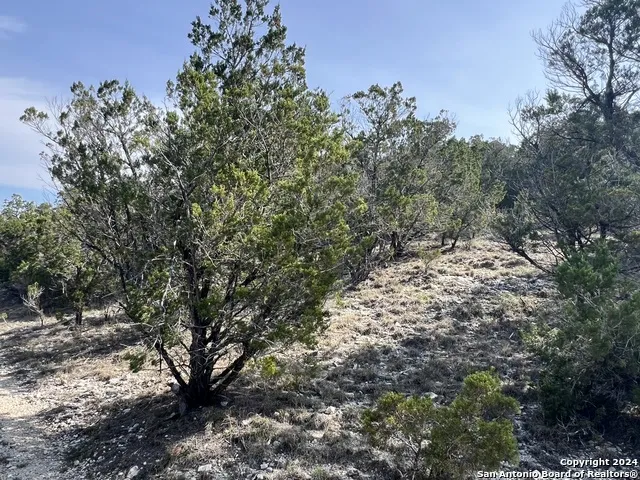 1081 Hillside View Dr New Braunfels, TX 78132