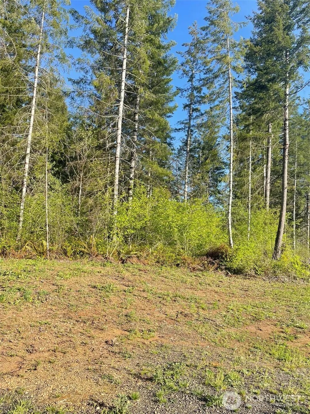 14253 W Cloquallum Road Elma, WA 98546