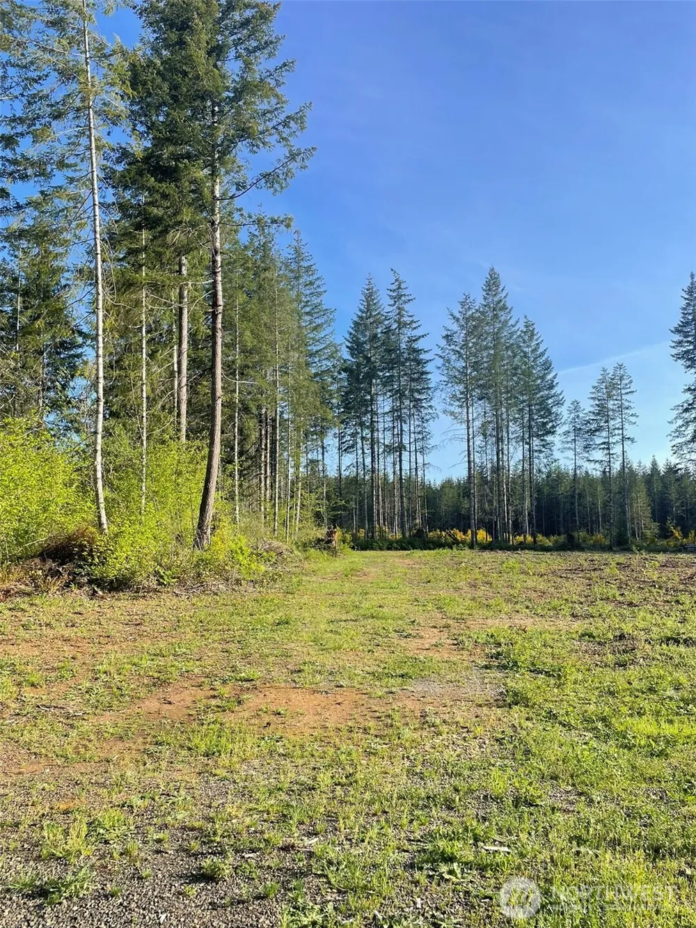 14253 W Cloquallum Road Elma, WA 98546