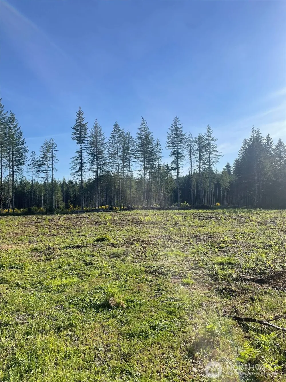 14253 W Cloquallum Road Elma, WA 98546