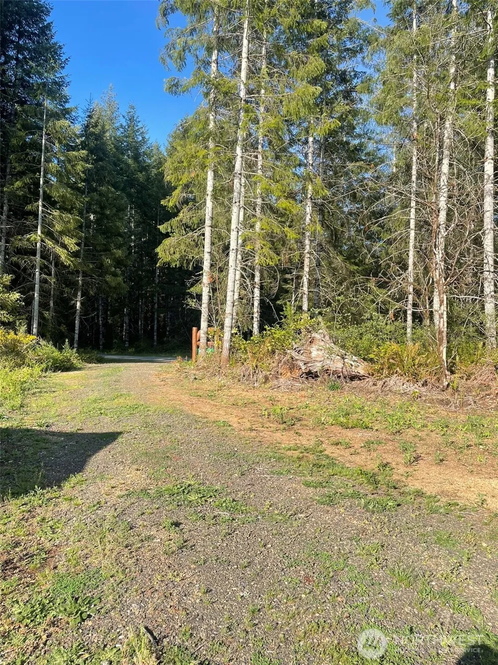 14253 W Cloquallum Road Elma, WA 98546