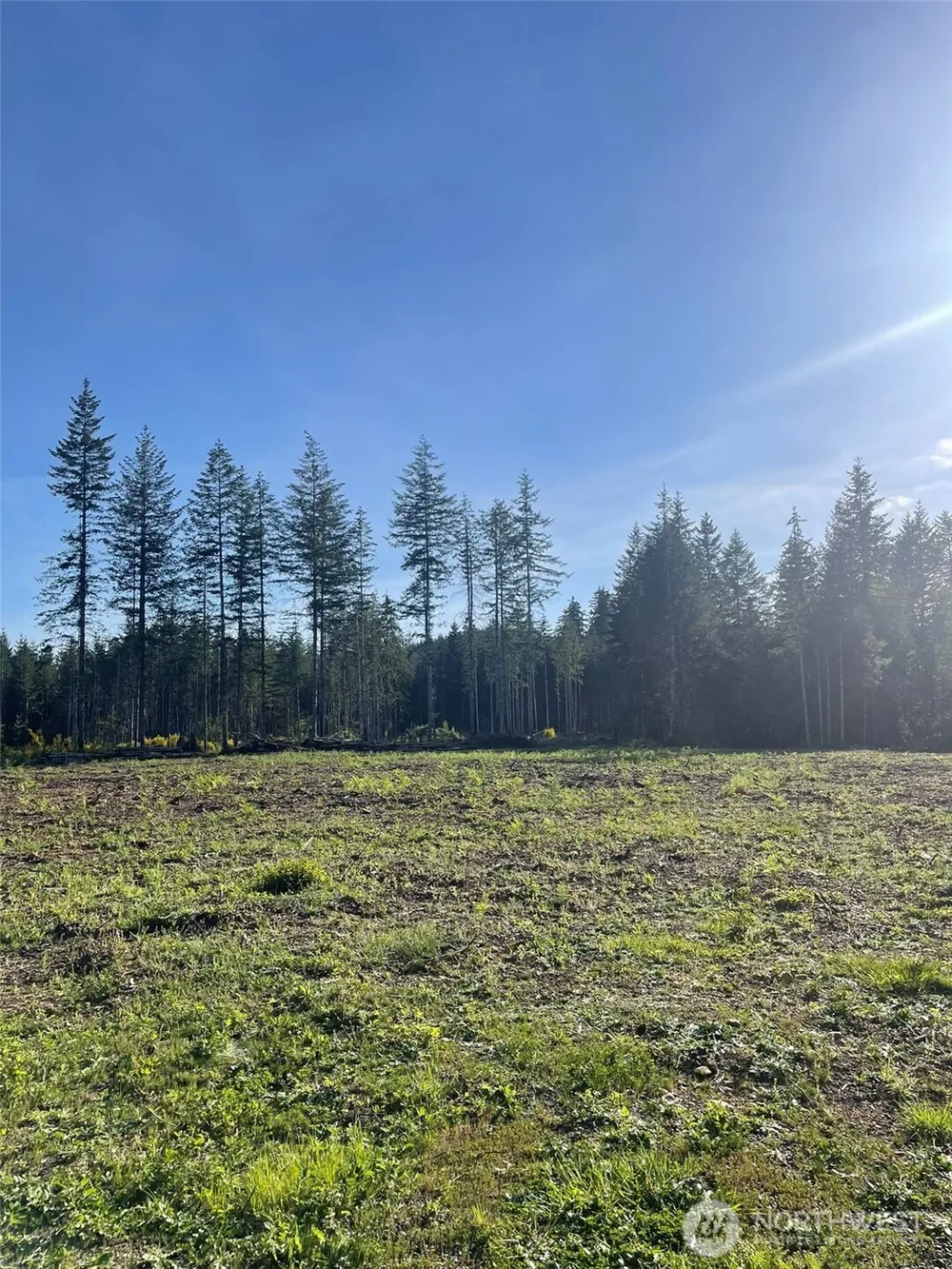 14253 W Cloquallum Road Elma, WA 98546
