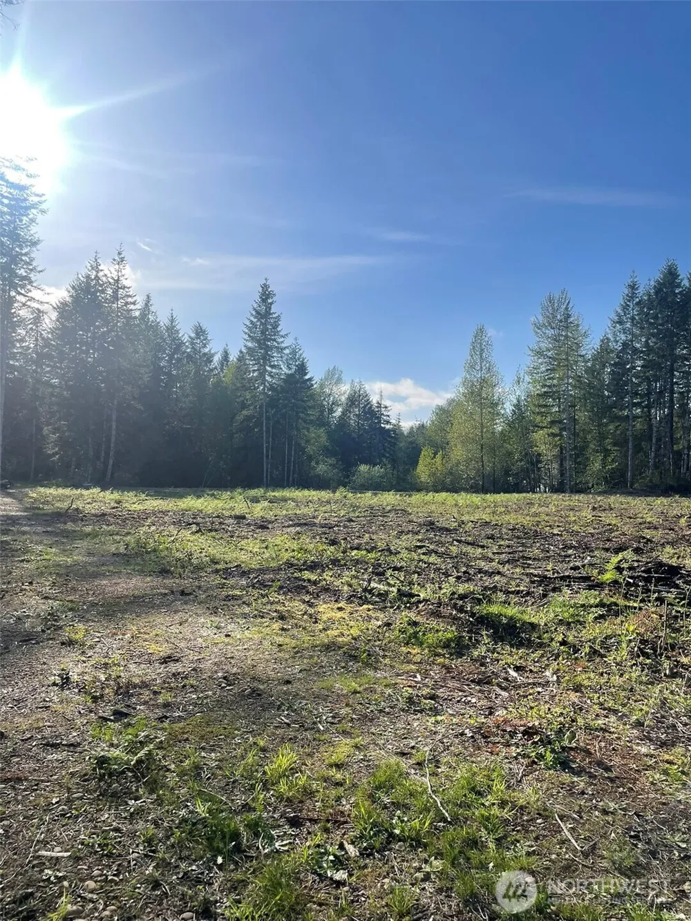 14253 W Cloquallum Road Elma, WA 98546