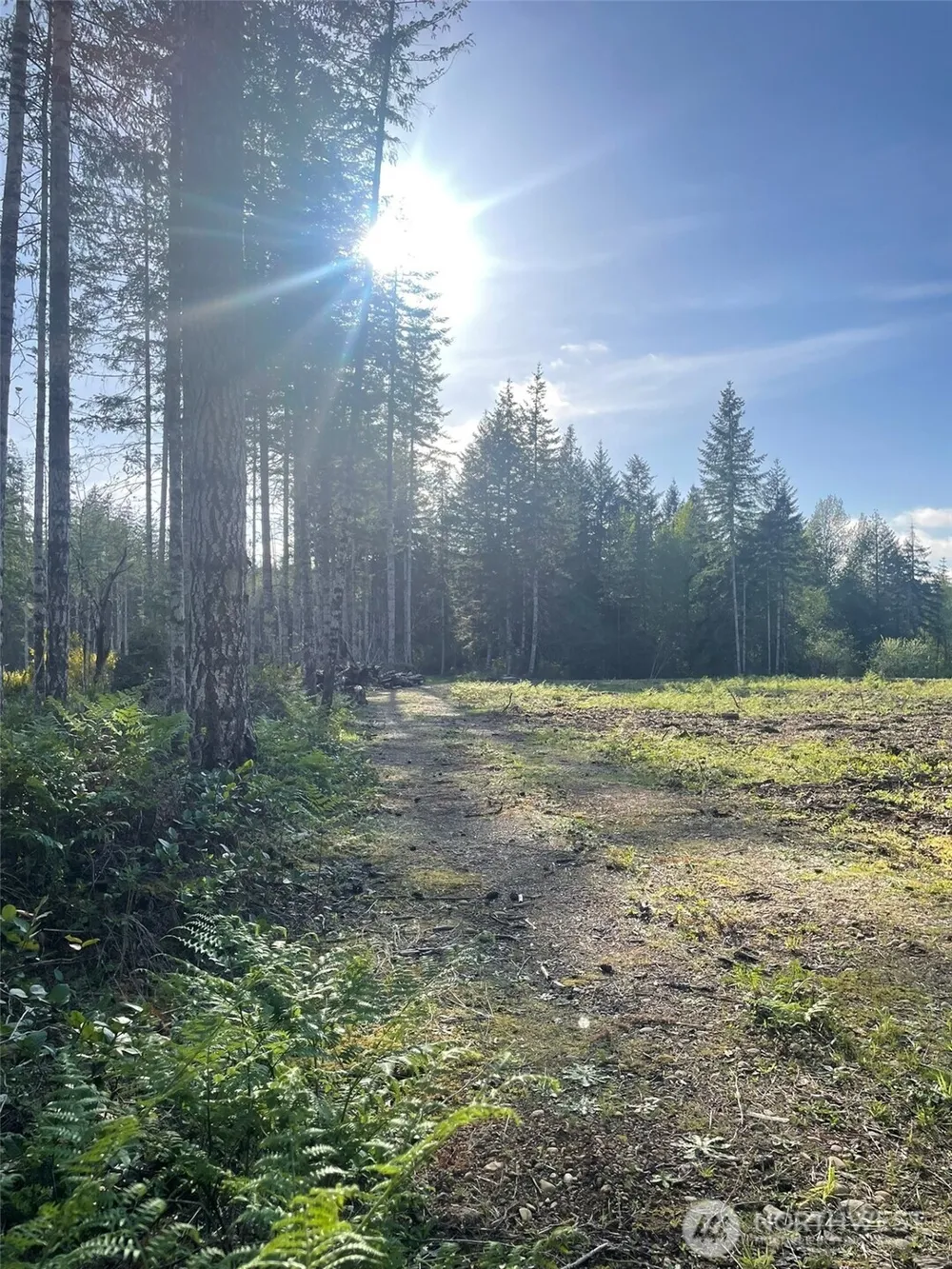 14253 W Cloquallum Road Elma, WA 98546