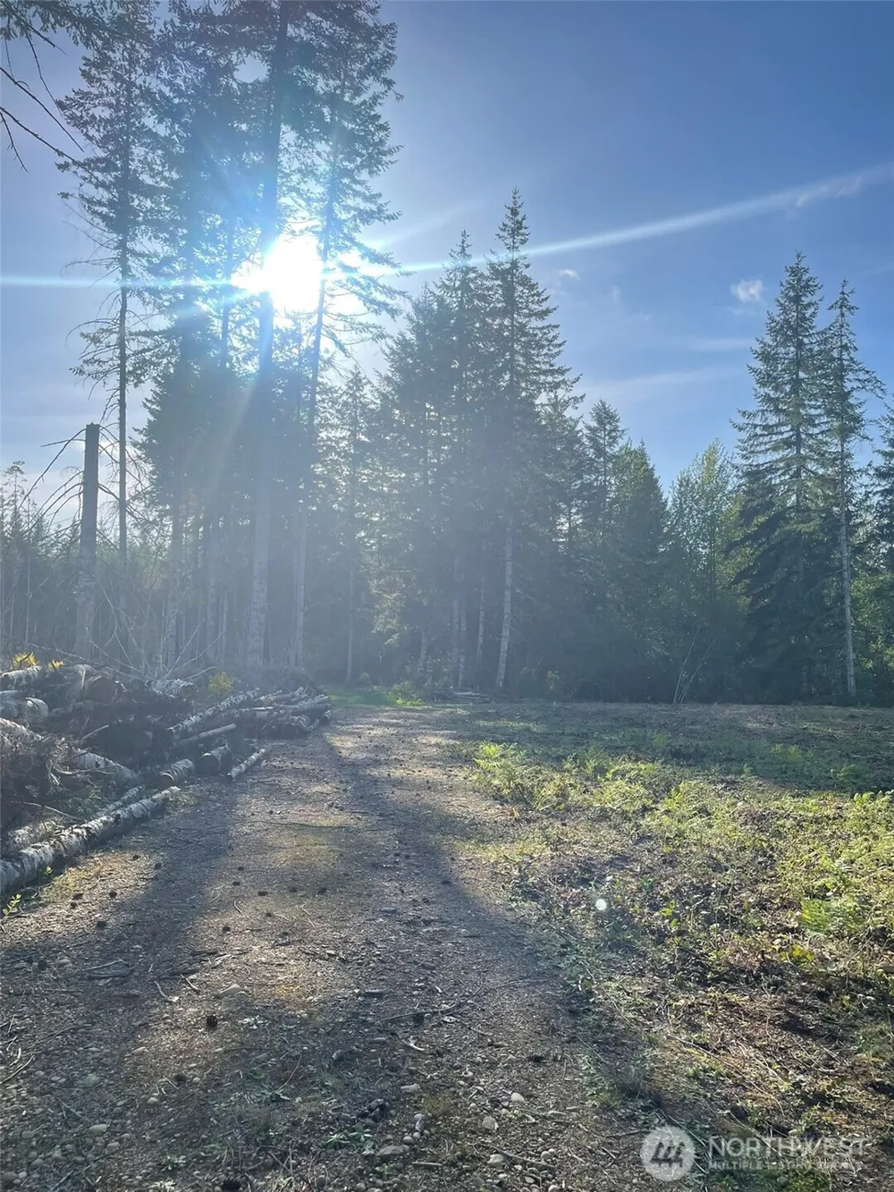 14253 W Cloquallum Road Elma, WA 98546