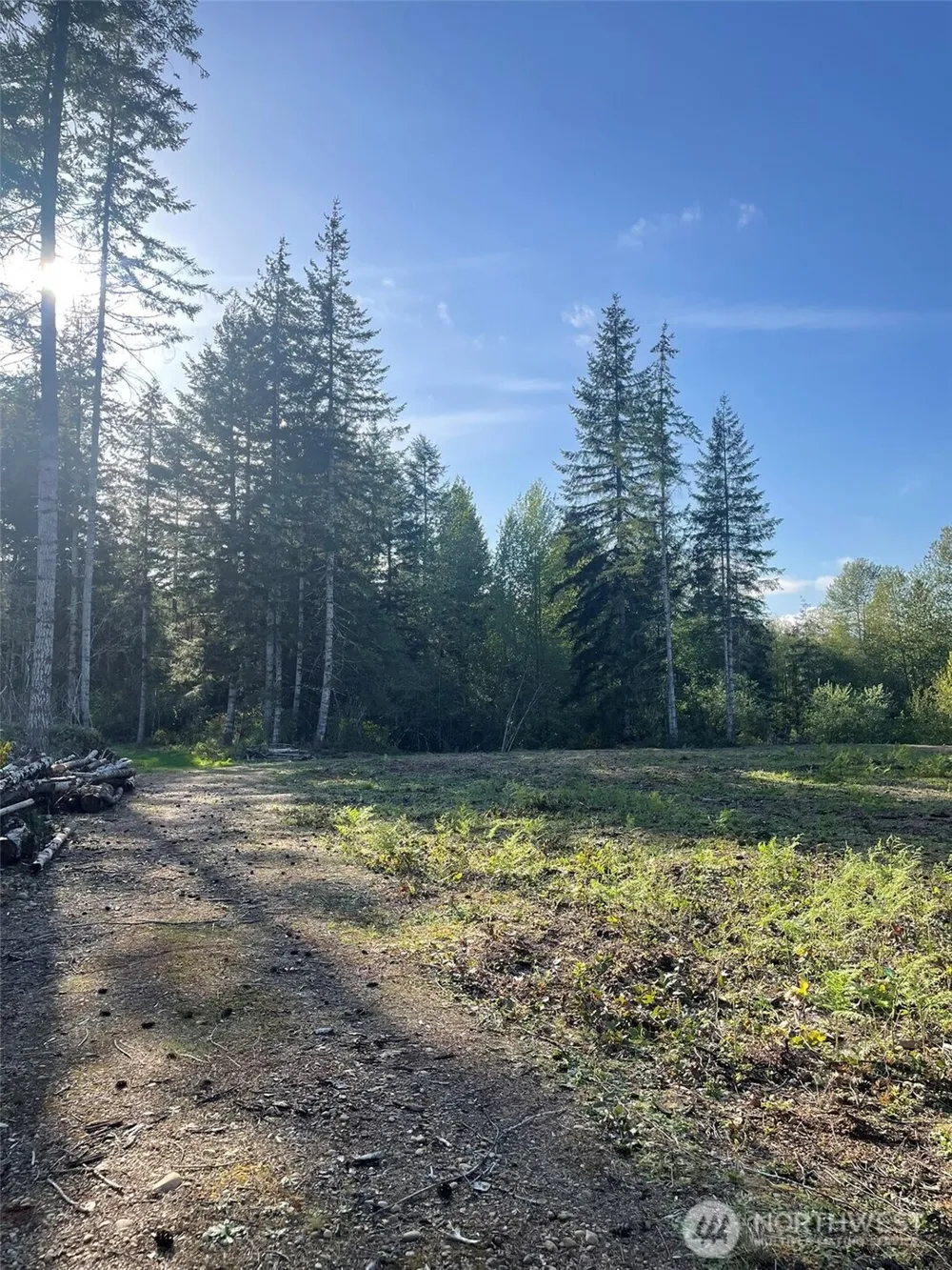14253 W Cloquallum Road Elma, WA 98546