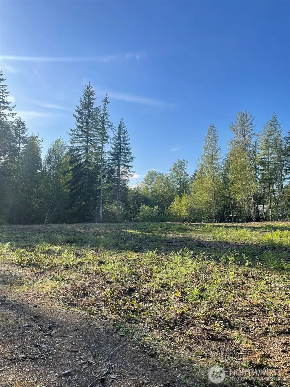 14253 W Cloquallum Road Elma, WA 98546