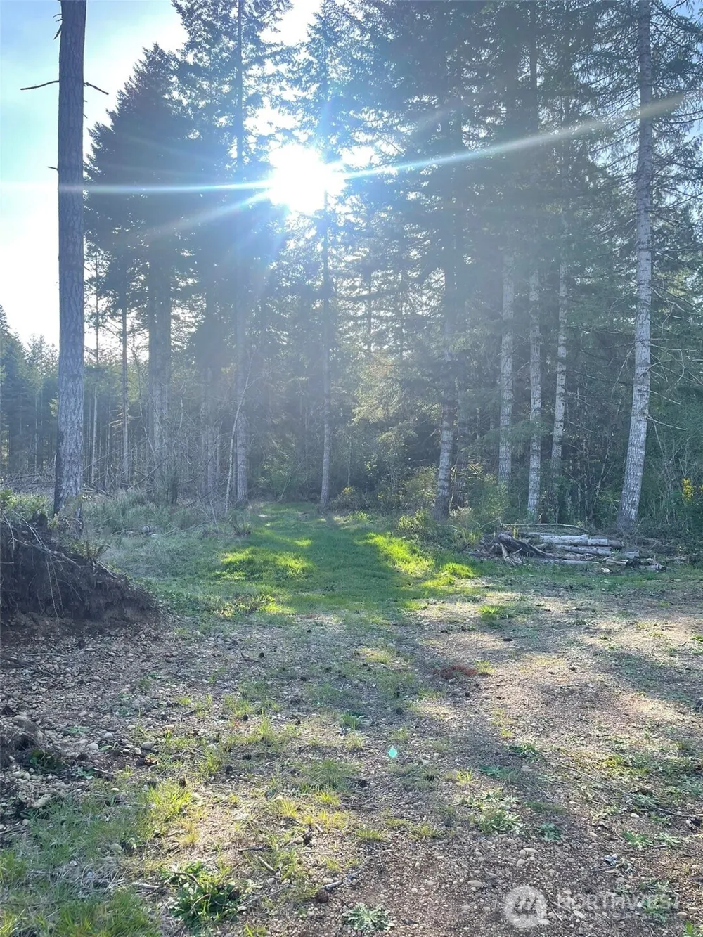 14253 W Cloquallum Road Elma, WA 98546