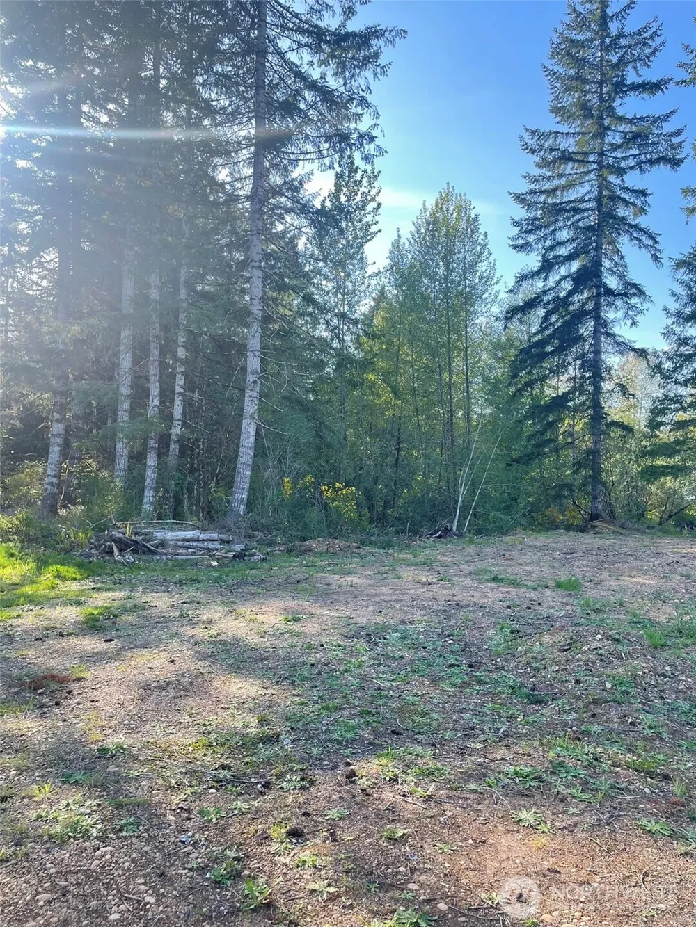 14253 W Cloquallum Road Elma, WA 98546