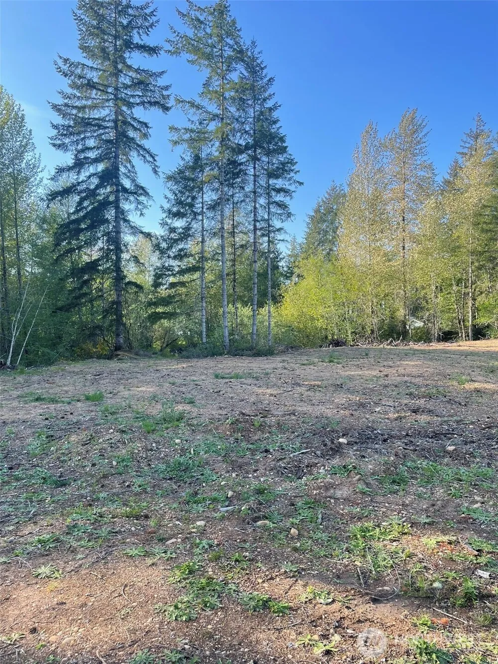 14253 W Cloquallum Road Elma, WA 98546