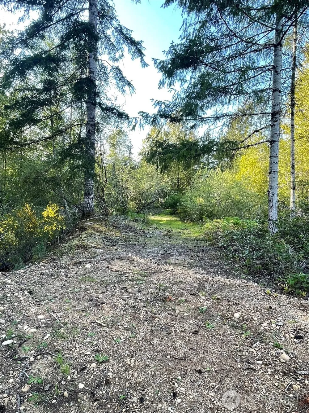 14253 W Cloquallum Road Elma, WA 98546