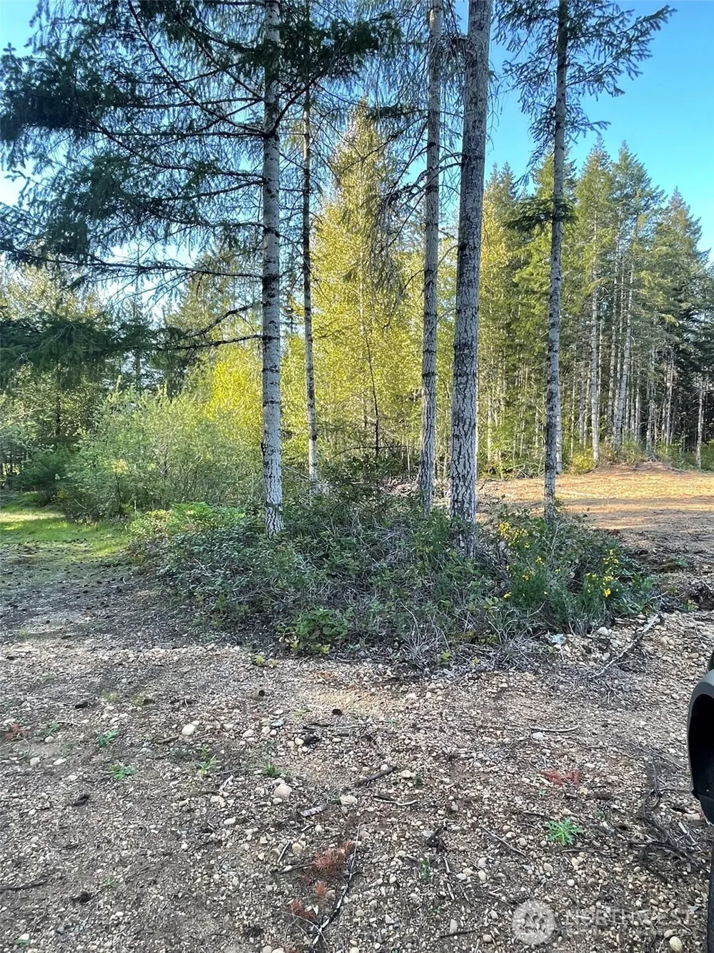 14253 W Cloquallum Road Elma, WA 98546