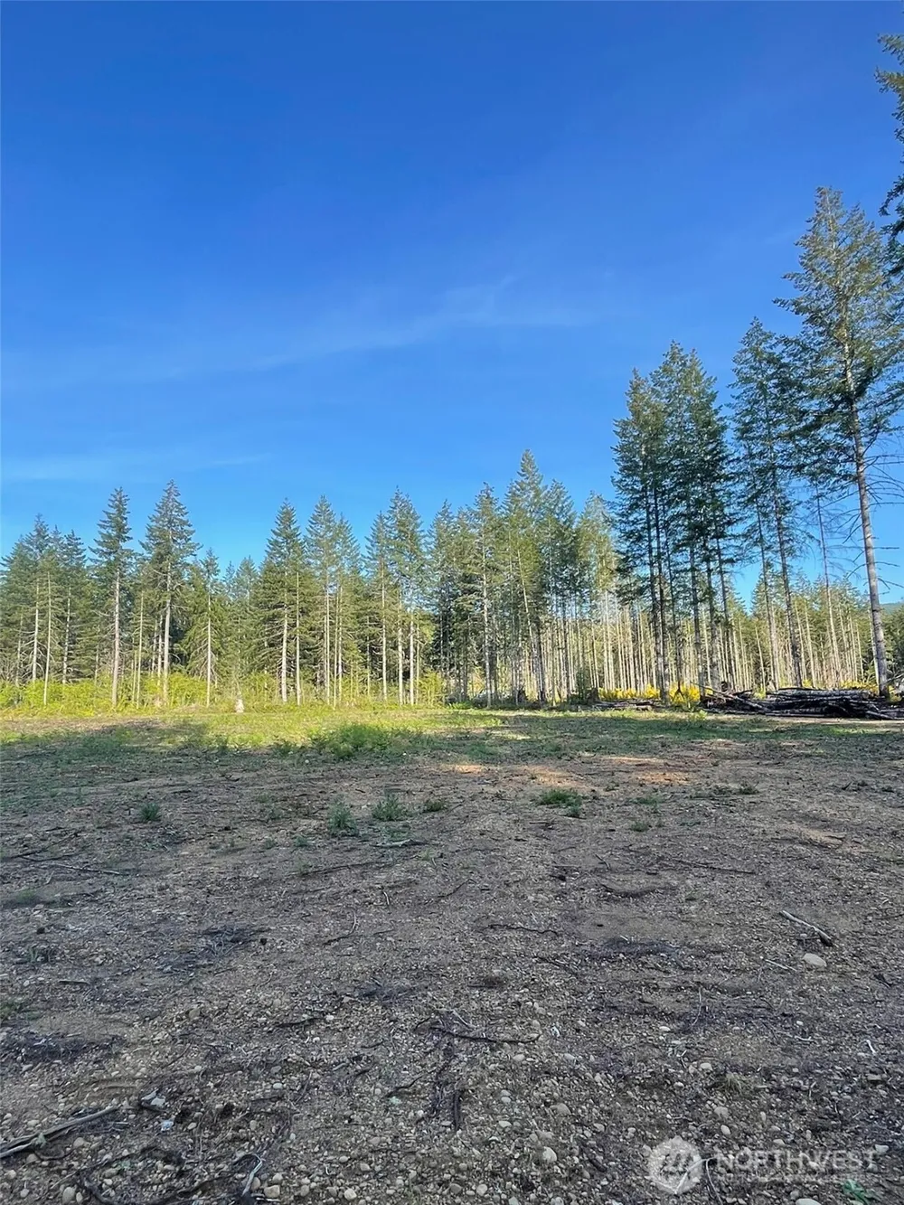 14253 W Cloquallum Road Elma, WA 98546