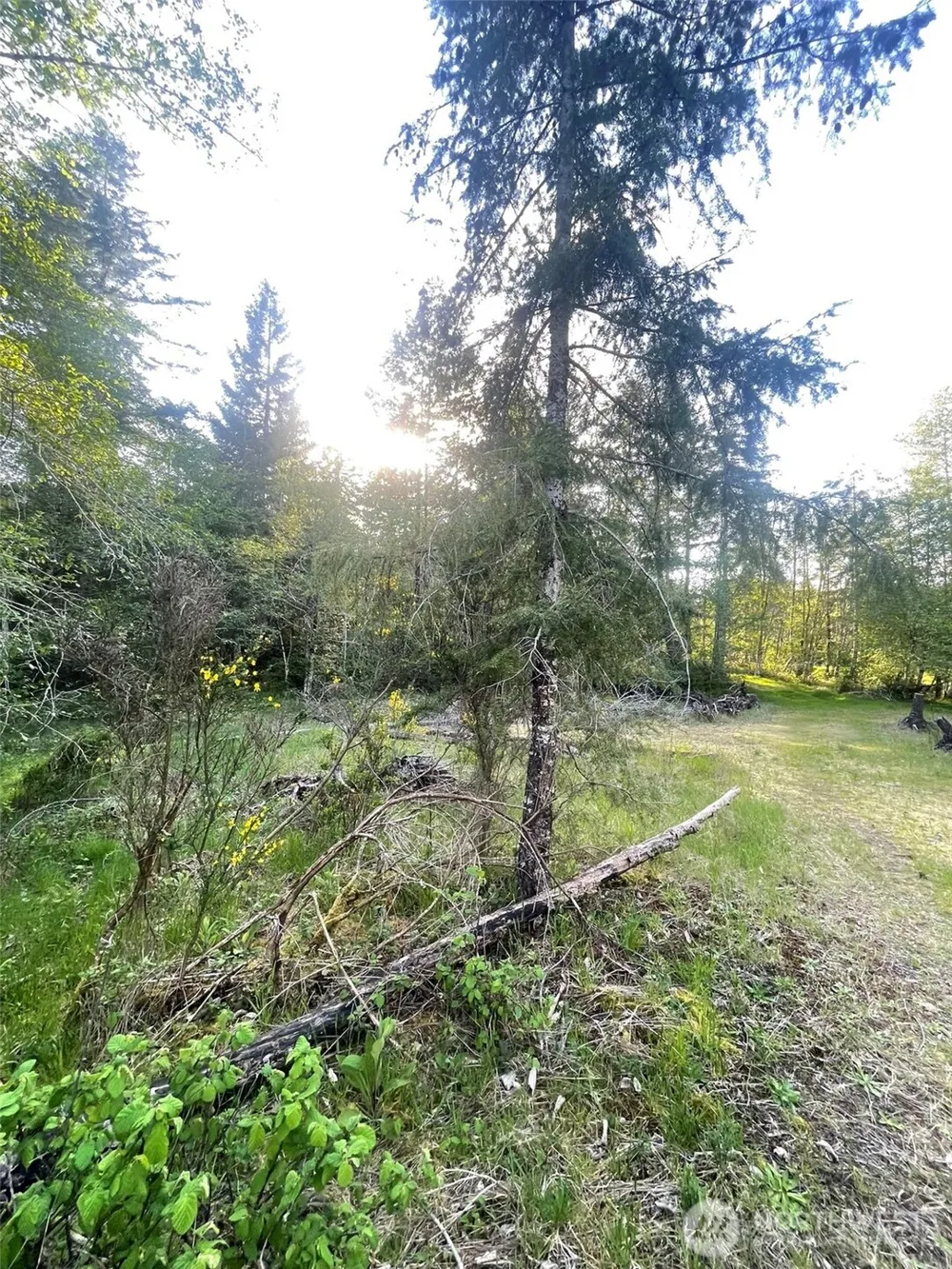 14253 W Cloquallum Road Elma, WA 98546