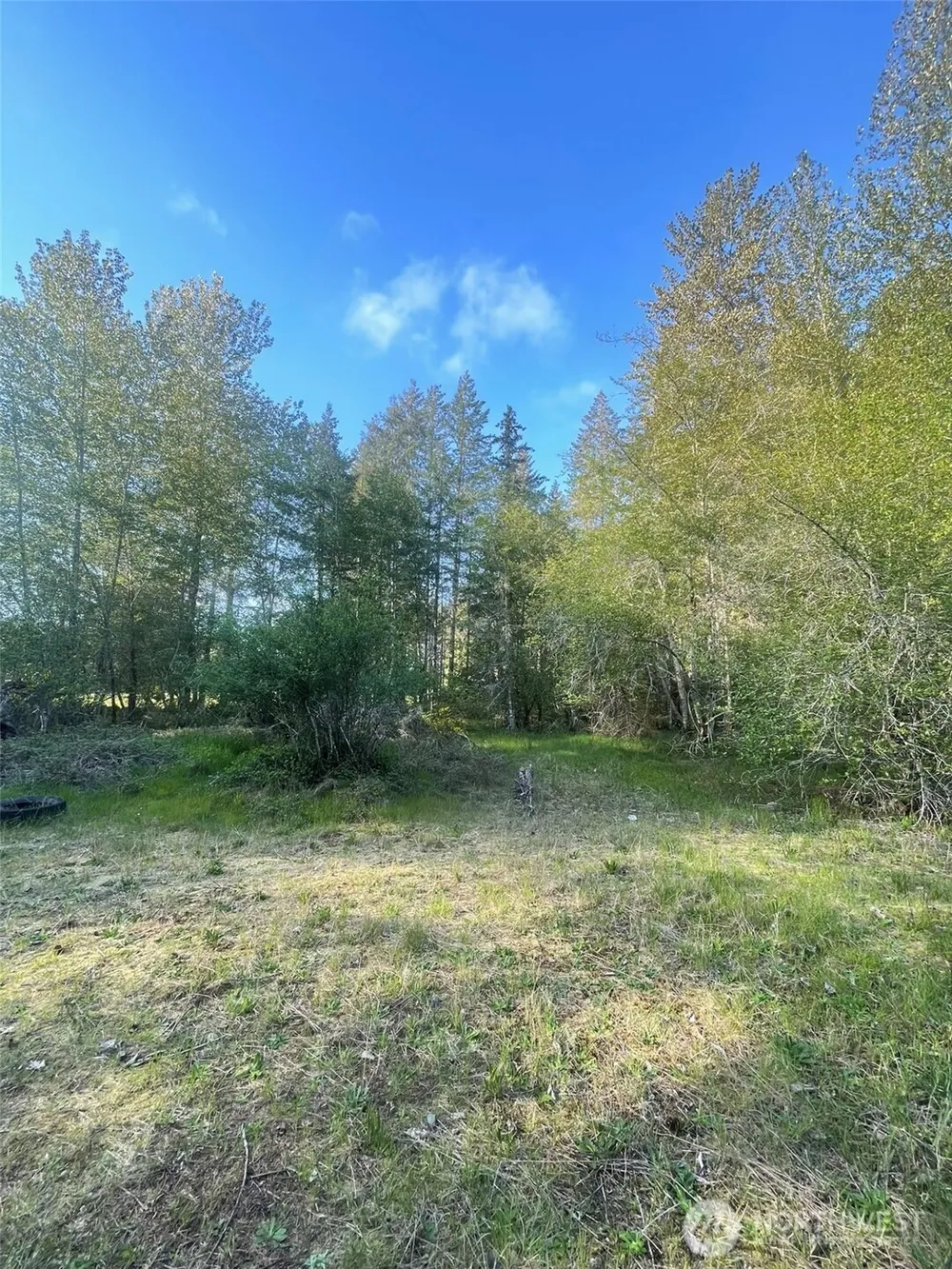 14253 W Cloquallum Road Elma, WA 98546