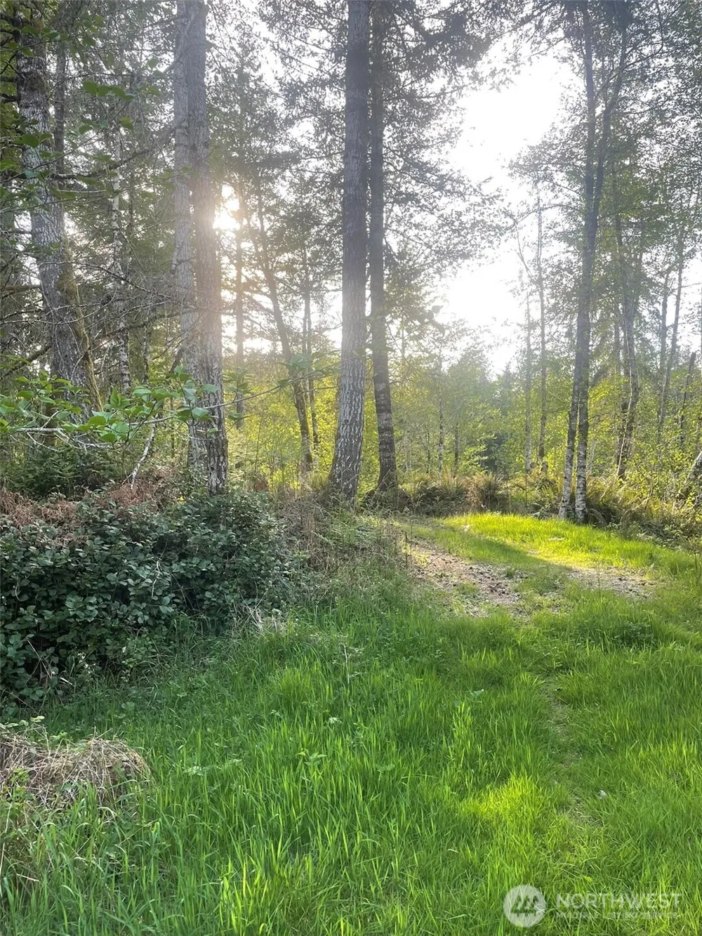 14253 W Cloquallum Road Elma, WA 98546