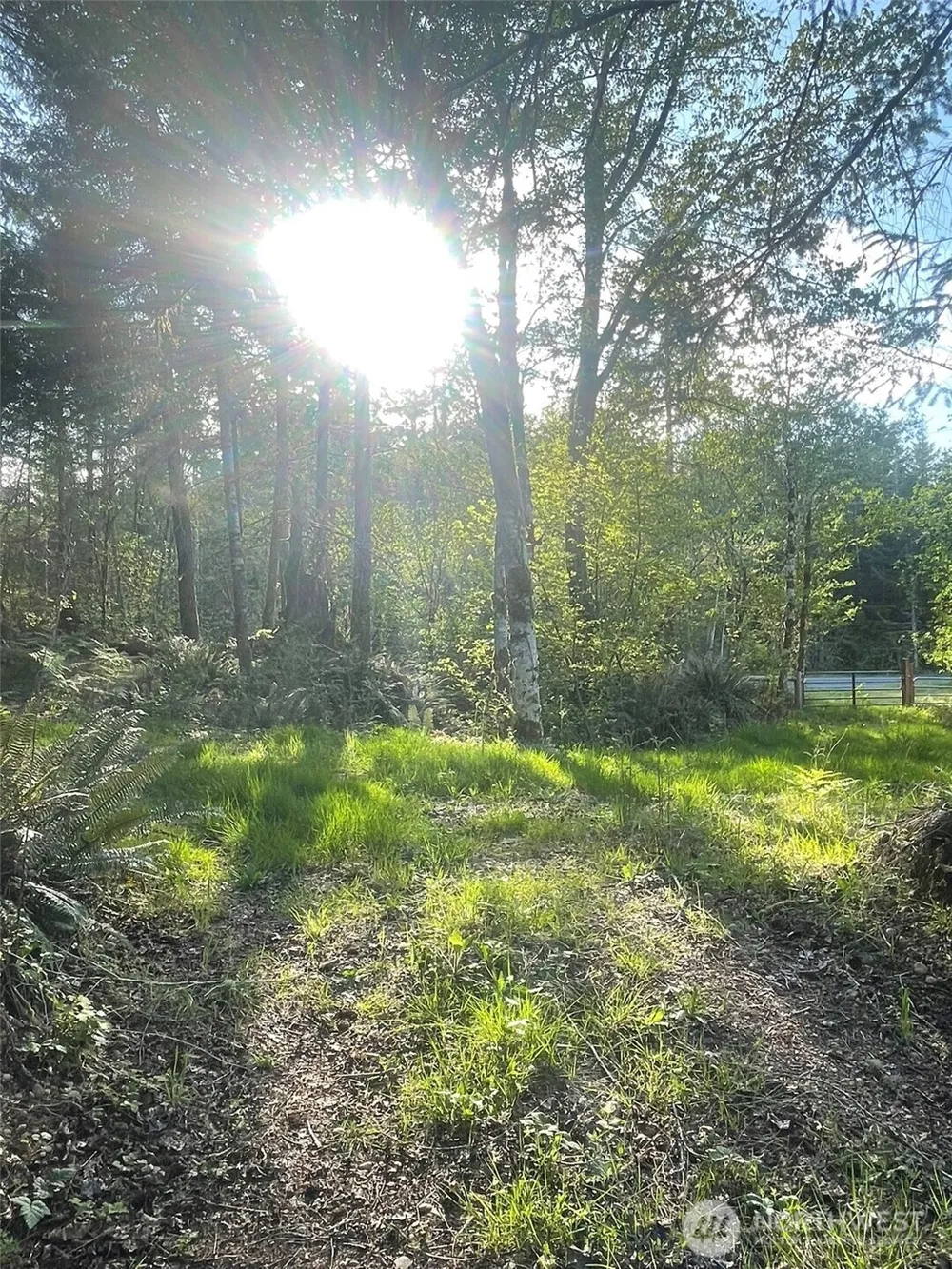 14253 W Cloquallum Road Elma, WA 98546