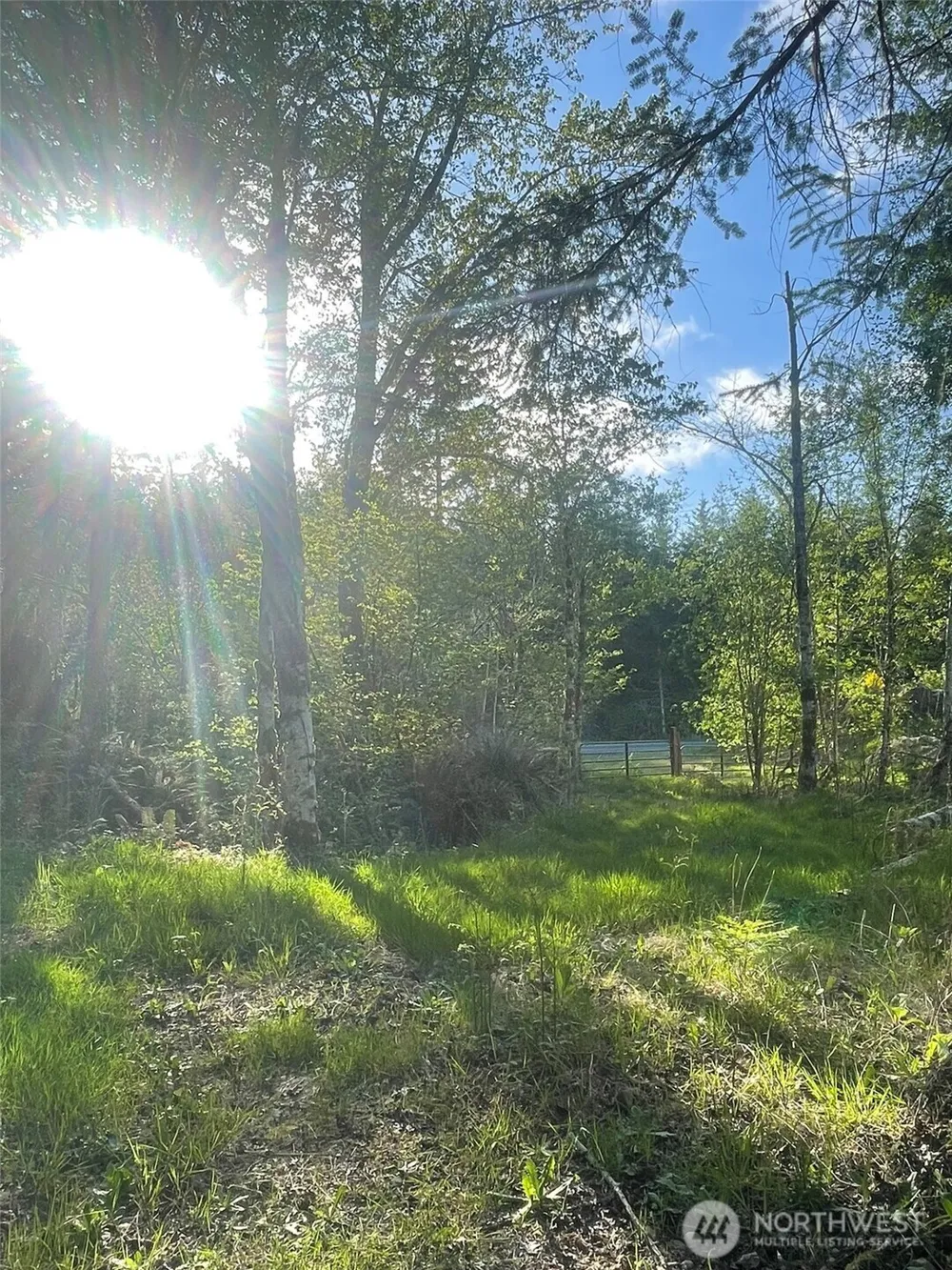 14253 W Cloquallum Road Elma, WA 98546
