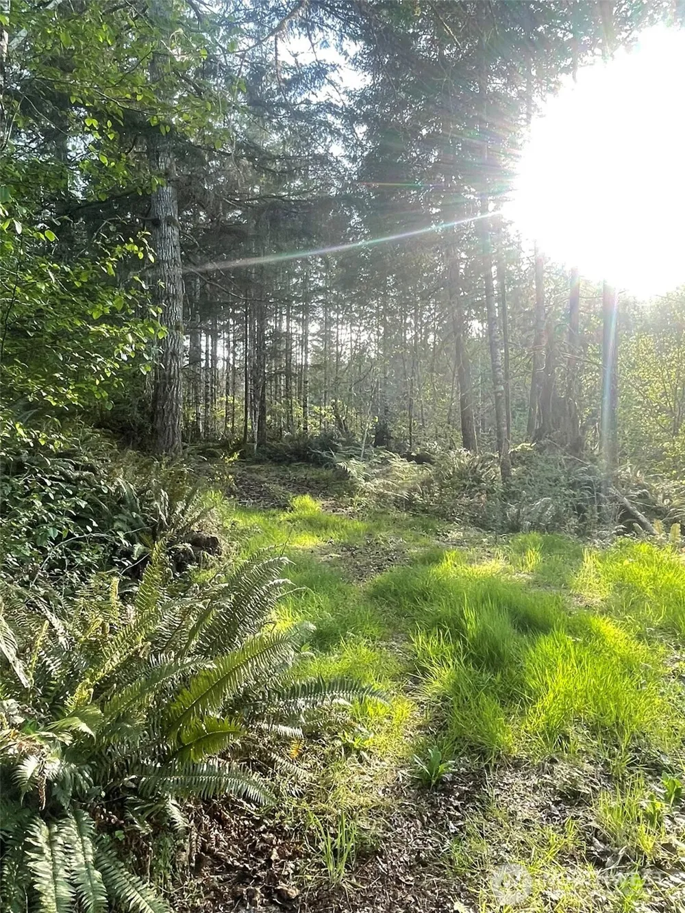 14253 W Cloquallum Road Elma, WA 98546
