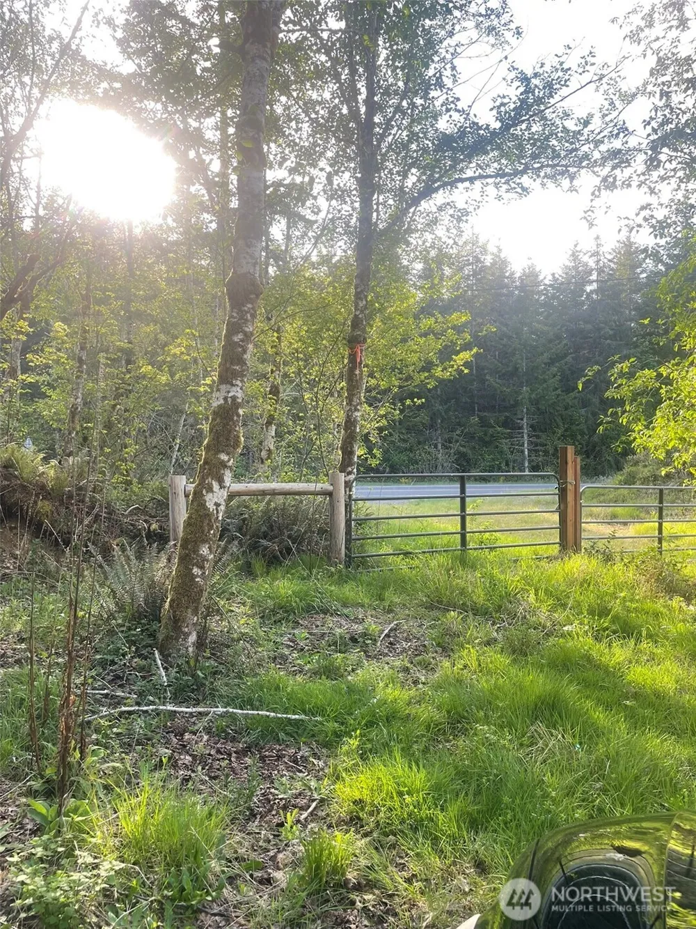 14253 W Cloquallum Road Elma, WA 98546