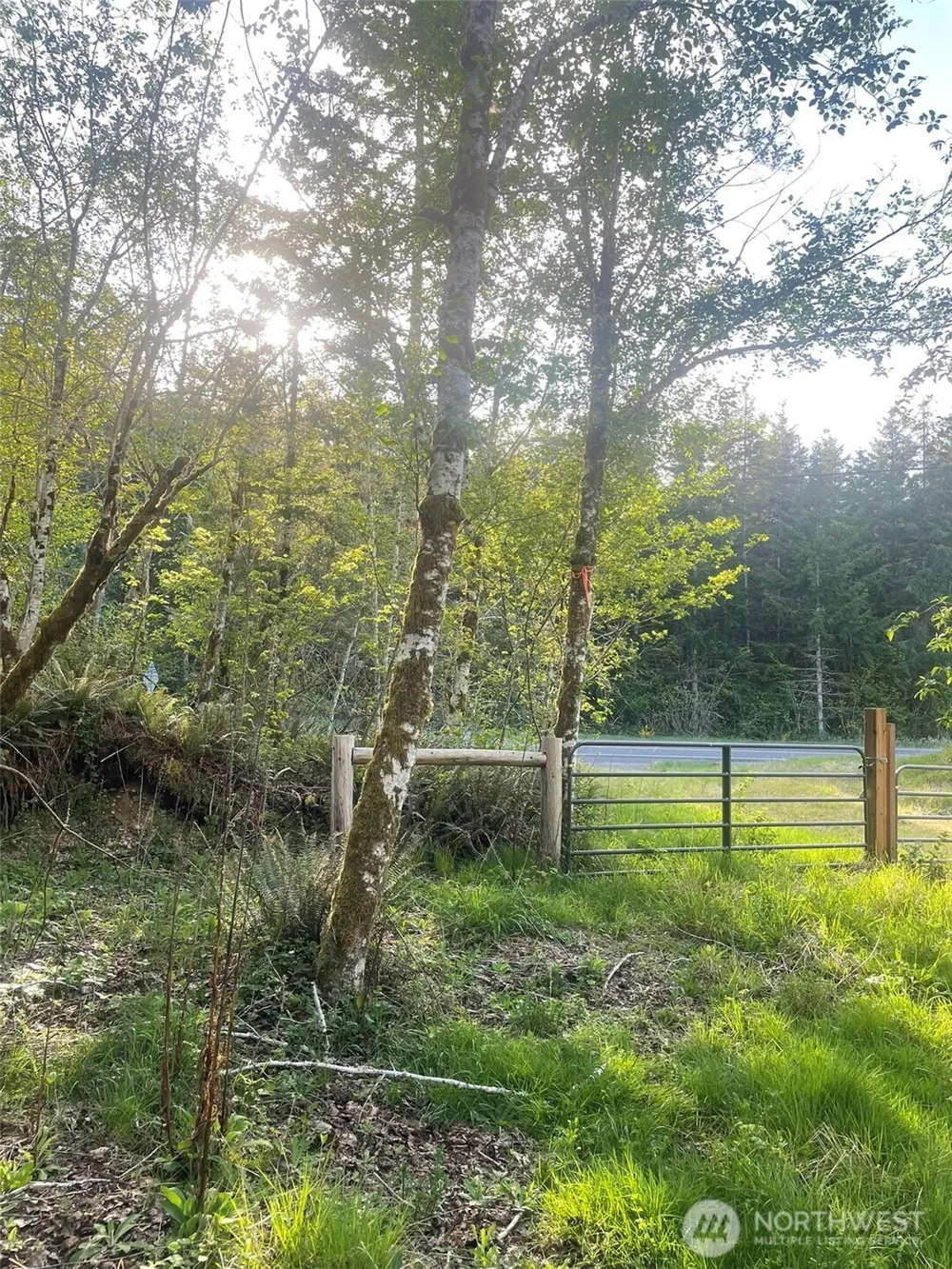 14253 W Cloquallum Road Elma, WA 98546