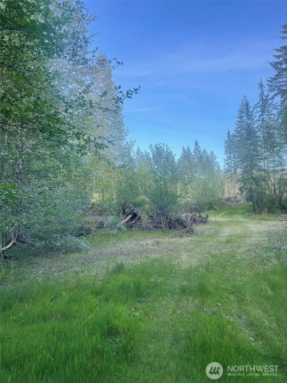 14253 W Cloquallum Road Elma, WA 98546