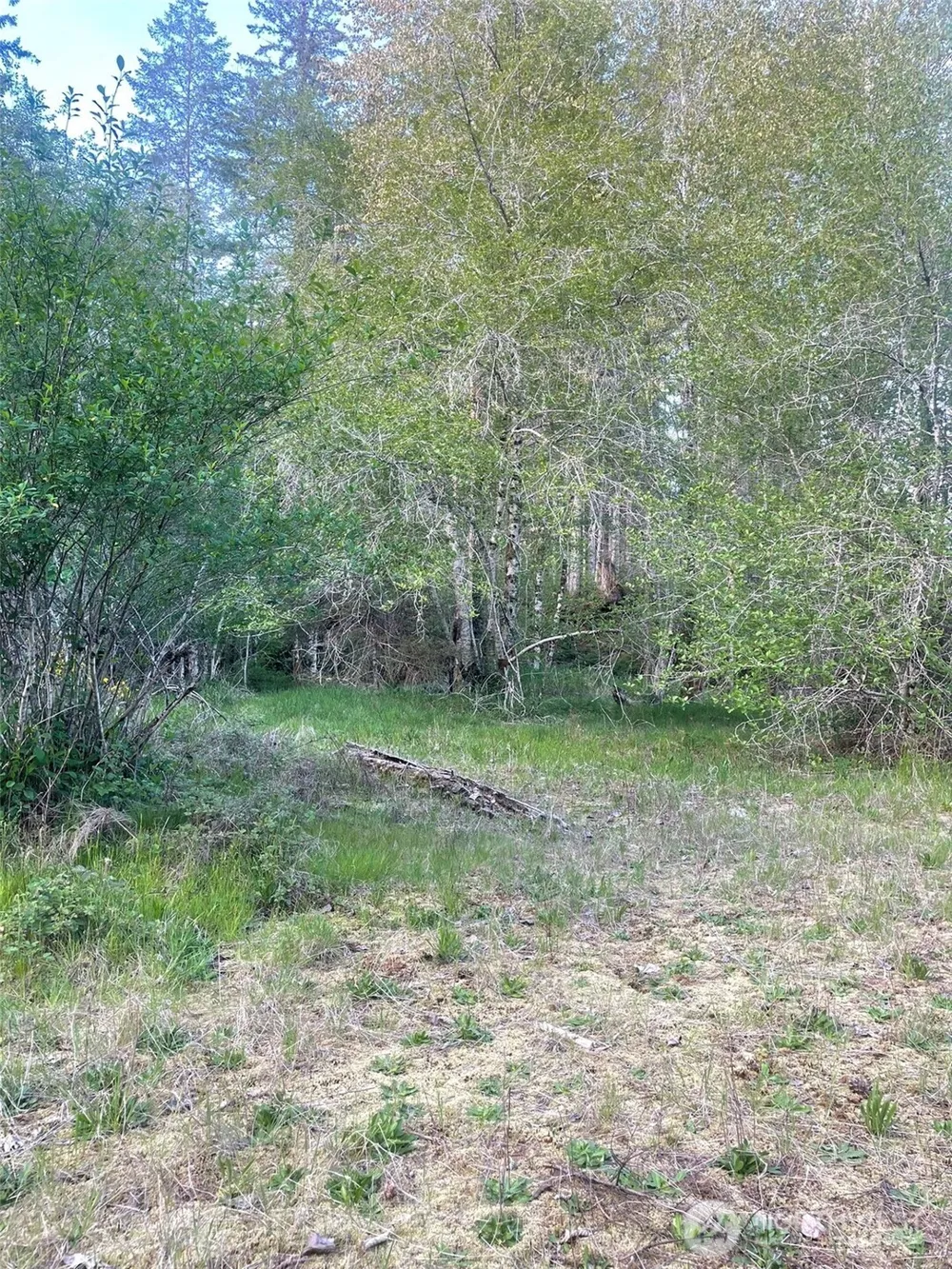 14253 W Cloquallum Road Elma, WA 98546