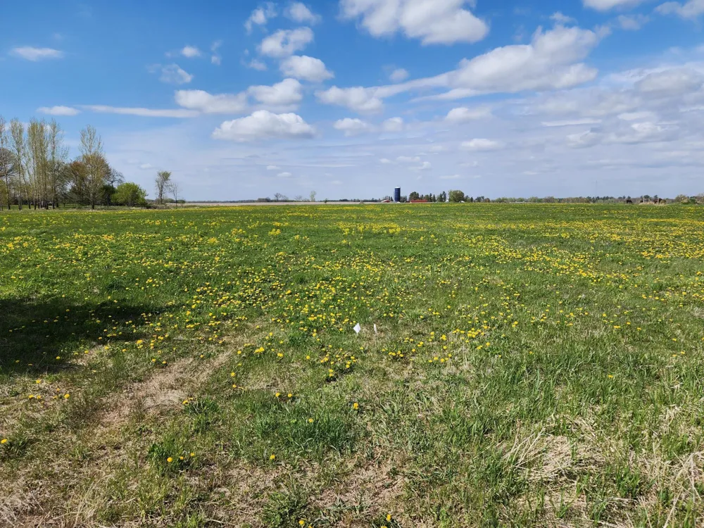 7160 149th Street Milaca, MN 56353