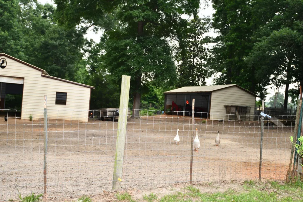 101 Pinewood Drive Shepherd, TX 77371