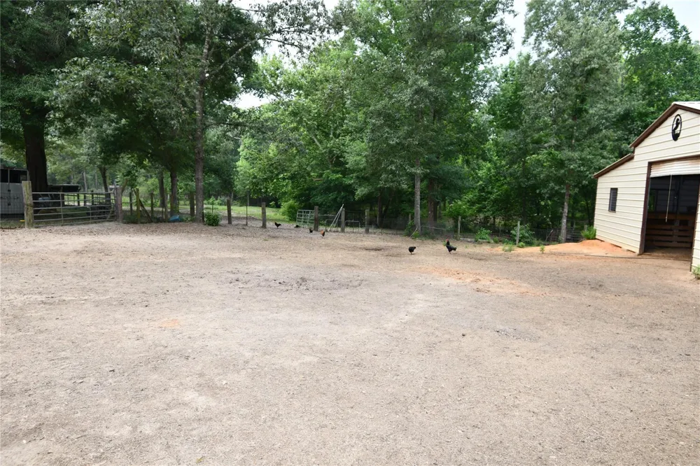 101 Pinewood Drive Shepherd, TX 77371
