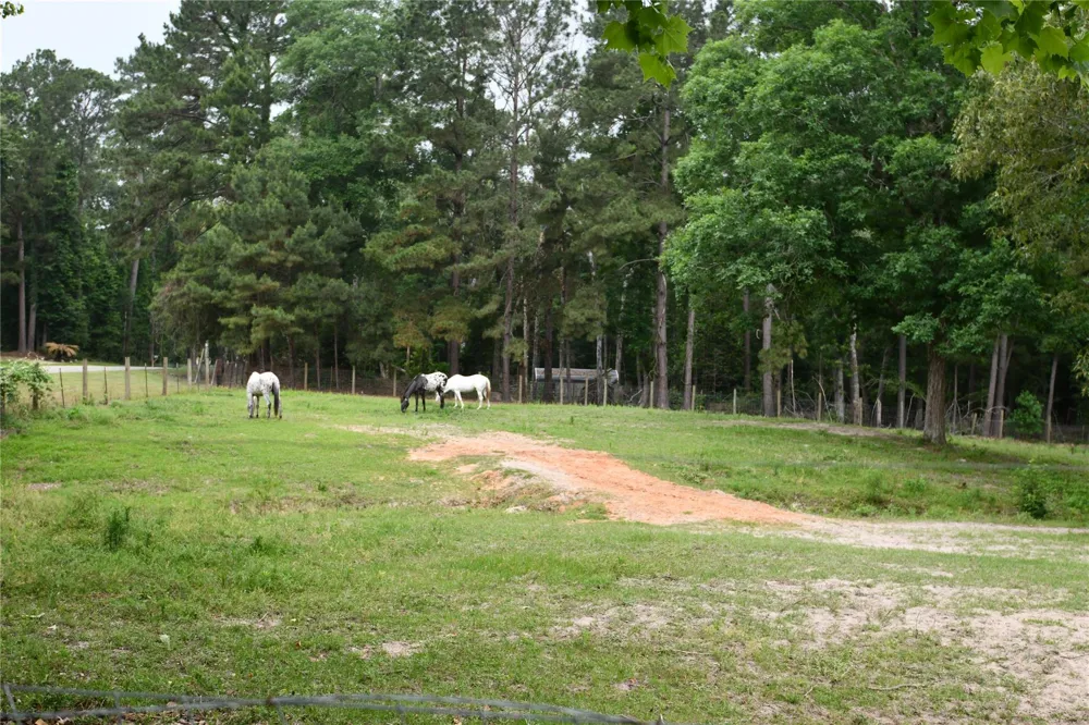 101 Pinewood Drive Shepherd, TX 77371