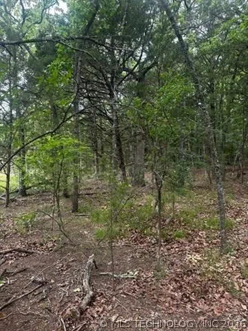 958 S Buffalo Road Stuart, OK 74570