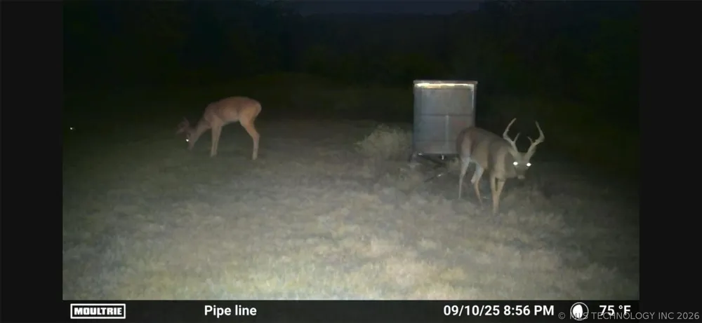 958 S Buffalo Road Stuart, OK 74570