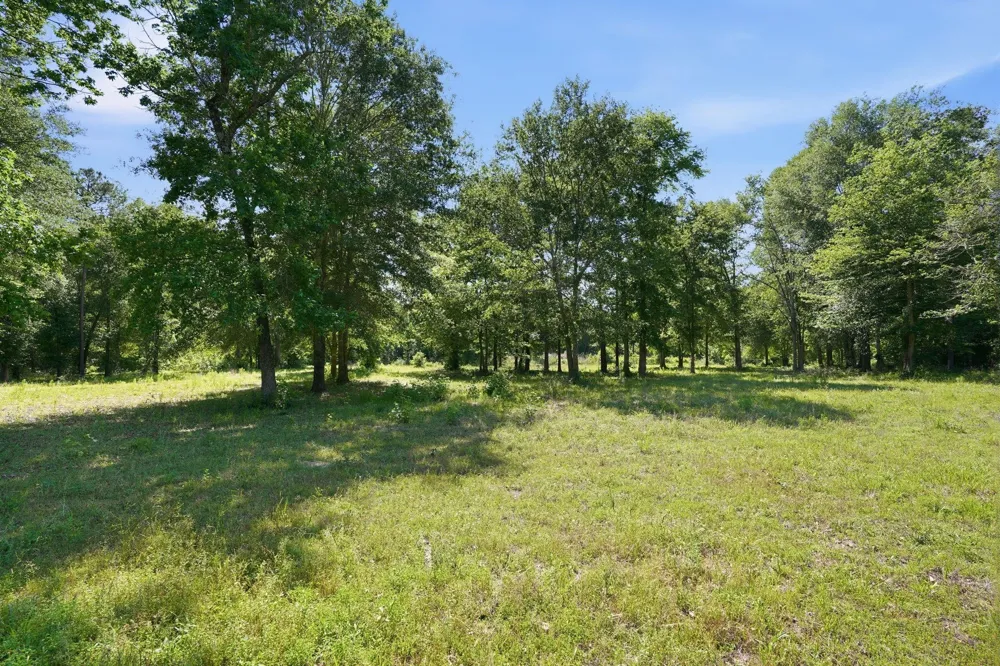 4215 Longhorn Drive Cleveland, TX 77328