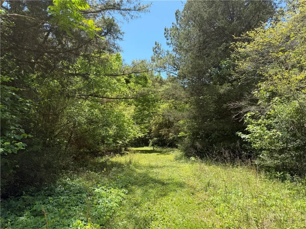 1593 Old Alabama Road Taylorsville, GA 30178