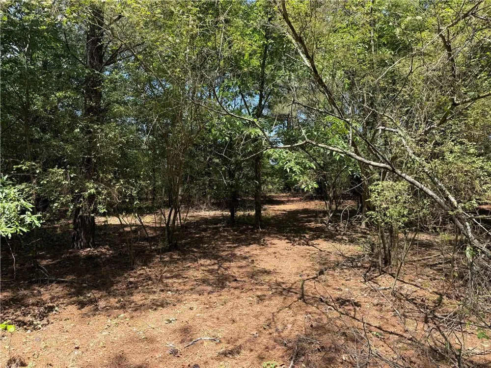 1593 Old Alabama Road Taylorsville, GA 30178