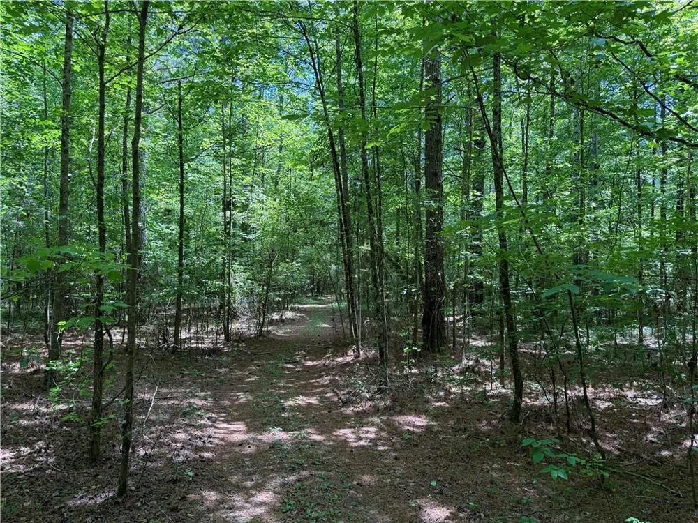 1593 Old Alabama Road Taylorsville, GA 30178
