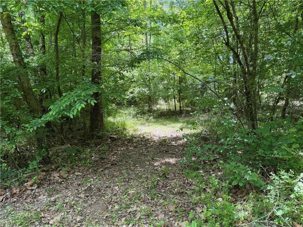 1593 Old Alabama Road Taylorsville, GA 30178